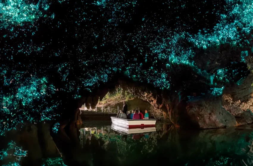  LAS CUEVAS CON ESTRELLAS ATRAPADAS EN NUEVA ZELANDA 